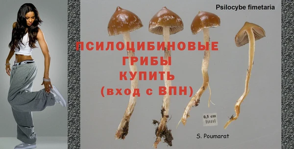 индика Балахна