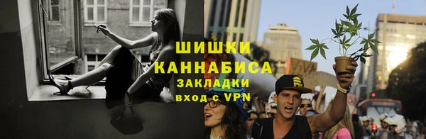 индика Балахна