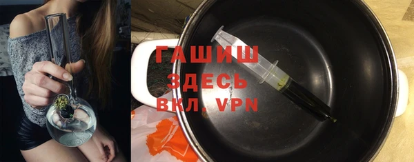 индика Балахна