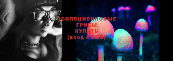 кокс Ростов