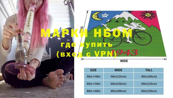 индика Балахна
