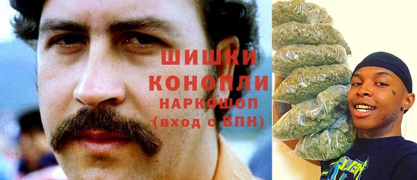 индика Балахна