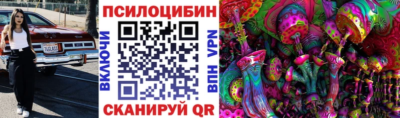 Галлюциногенные грибы Psilocybine cubensis  Дальнегорск 